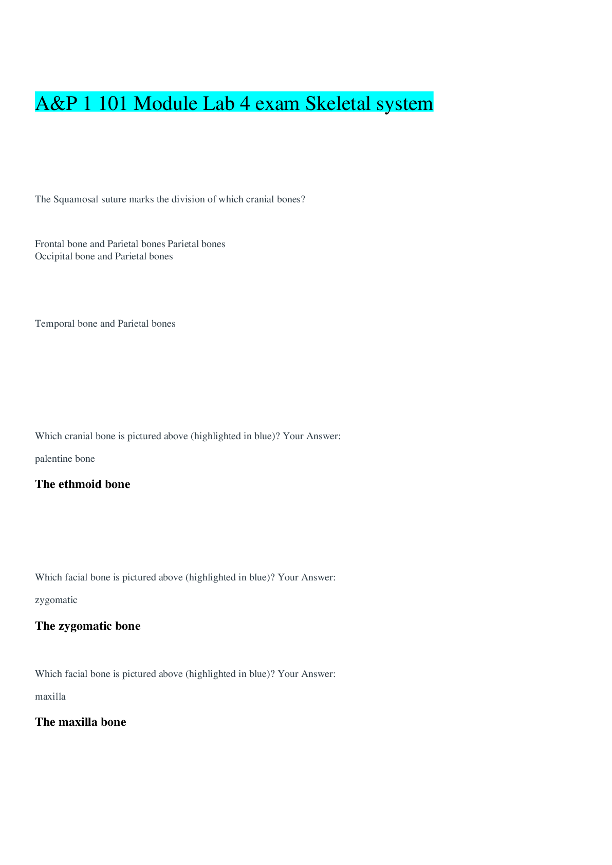 Preview image for A&P 1 101 Module Lab 4 exam Skeletal system